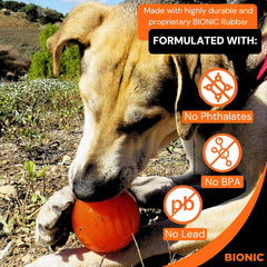 BIONIC Ball Dog Toy, Large - Interactive Dog Chew Toy That Stands Up to The Toughest Chewers