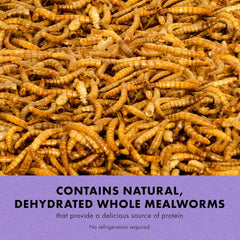 Zilla Reptile Munchies, Mealworms, All-Natural, Dehydrated Mealworms, Ideal for Bearded Dragons, Leopard Geckos, Chameleons and other lizards, Resealable Bag