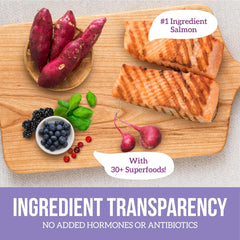 Health Extension Grain Free Salmon & Sweet Potato Dry Dog Food - Whole Foods Ingredients Formula with Omega 3 & Antioxidants for All Life Stages Dogs