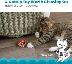 Petstages Catstages Plaque Away Pretzel Cat Toy – Interactive Catnip Dental Chew Toy to Help Clean Teeth, Fun for Play and Chewing, Orange