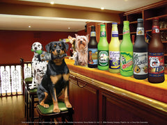 – Heinie Sniff'n Beer Bottle - Dog Toy - 100% Vinyl. Made Durable & Strong. Novelty Play Toy. 14 Bottles to Choose from and it Floats