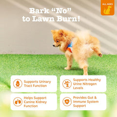 Zesty Paws Stay Green Bites for Dogs - Grass Burn Soft Chews for Lawn Spots Caused by Dog Urine - with Cranberry for Urinary Tract & Bladder - Chicken - 90 Count