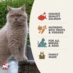 Fromm Four-Star Nutritionals Salmon A La Veg Cat Food - Premium Dry Cat Food - Salmon Recipe