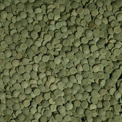 Tetra PlecoWafers, Nutritionally Balanced Fish Food For Algae Eaters