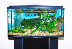 Hikari 17.6-Ounce Sinking Wheat Germ Pellets for Pets, Medium