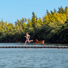 Nulo Grain Free Dog Food: All Natural Adult Dry Pet Food For Large And Small Breed Dogs Salmon