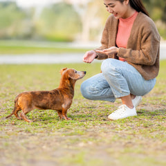 Exclusively Dog Best Buddy Bits Training Treats for Dogs and Puppies - All Natural, Baked in The USA, Ideal for Training & Agility, No Animal Byproducts - Cheese Flavor, 5.5oz Resealable Bag