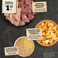 ACANA Wholesome Grains Dry Dog Food, Puppy Recipe, Real Chicken, Eggs and Turkey Dog Food Recipe