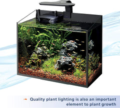 Aqueon® Aquarium Plant Food