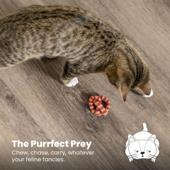 Petstages Catstages Plaque Away Pretzel Cat Toy – Interactive Catnip Dental Chew Toy to Help Clean Teeth, Fun for Play and Chewing, Orange