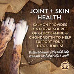 Sensitive Skin & Stomach Large Breed with Salmon and Ancient Grains Dry Food for Dogs and Puppies 30 lb