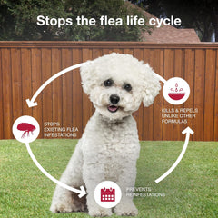 K9 Advantix II Dog Vet-Recommended Flea, Tick & Mosquito Treatment & Prevention | 1-Mo Supply