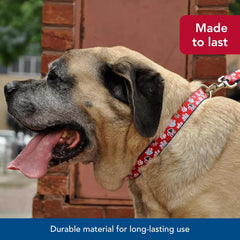 Coastal Pet - Ribbon - Adjustable Dog Collar with Metal Buckle, Red with Paws