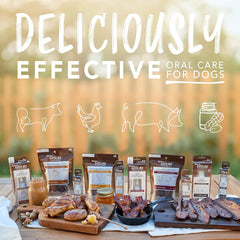 TropiClean Enticers Dog Teeth Cleaning Treat Gel | Smoked Bacon Flavored Dog Toothpaste Alternative| 2 oz