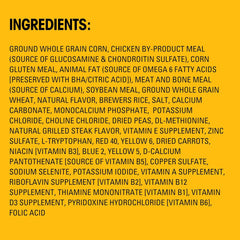 PEDIGREE Small Dog Complete Nutrition Small Breed Adult Dry Dog Food Grilled Steak and Vegetable Flavor Dog Kibble