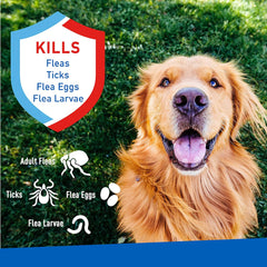 Flea & Tick Spray For Dogs and Cats ; Kills Fleas and Ticks Through Contact, Kills Flea Eggs, Flea Larvae, and Prevents Flea Egg Hatch ; Controls Flea Reinfestation For Up To 2 Months ; 16 Oz