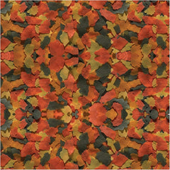 TetraColor PLUS Tropical Flakes with Color Enhancing(Pack of 1)