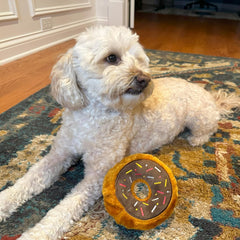 SPOT Fun Food Tasty Donut- Plush Chew Toy with Self Healing Squeaker