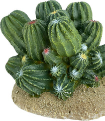 Multi Pet 48593321: Komodo Cactus Plant Barrel, 4In