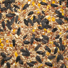 Volkman Western Delight Wild Bird 5lb