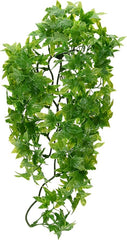 Zoo Med Laboratories Natural Bush™ Congo Ivy Plants for Reptiles