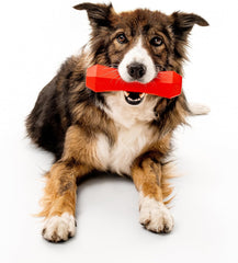 Playology Squeaky Chew Stick Dog Toy for Large to X-Large Dogs 50 lbs & up | Engaging All-Natural Beef Scented Chew Toy for Tough Chewers | Easy to Clean & Non-Toxic Materials