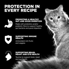 Go! Solutions Skin + Coat Care, Dry Cat Food, Chicken Recipe with Grains, 3 lb Bag