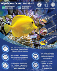 Ocean Nutrition Fish Feeder Seaweed Clips for Saltwater Fish - Aquarium Suction Cups, Holds Food Intact, Prolongs Feeding Process, Pack of 36 for Tangs, Rabbitfish, Marine Angelfish, Wrasses, Damsels