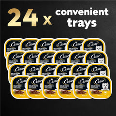 Cesar Wet Dog Food Classic Loaf in Sauce Grilled Steak and Eggs Flavor, 3.5 oz. Easy Peel Trays (24 Count, Pack of 1)