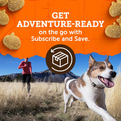 Zuke’s Mini Naturals Dog Training Treats for Dogs of All the Sizes, Pet Treats made with Real Peanut Butter