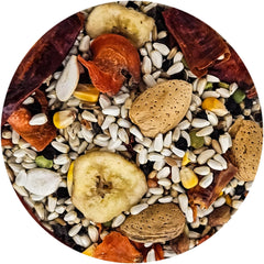 Parrot Bird Food (No Sunflower Seeds) - Seed Mix for a Variety of Parrots