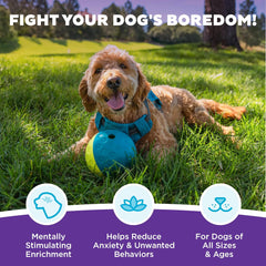 Nina Ottosson Treat Tumble Interactive Puzzle Ball Dog Toy, Level 1 Beginner, Blue, Small