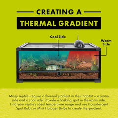 Zilla Incandescent Spot Bulb, for Nocturnal Reptile Species, Night Red