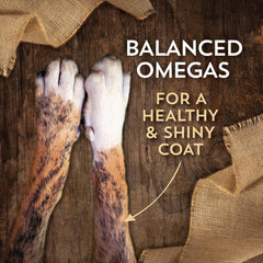 Wholesomes Large Breed Puppy Dry Dog Food lb