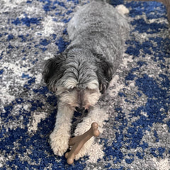 SPOT Bam-Bones Wishbone - Made with Strong Bamboo Fiber, Durable Long Lasting Dog Chew for Light to Moderate Chewers, Great Toy for Adult Dogs & Teething Puppies Under 50lbs, Chicken Flavor