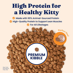 Solid Gold High Protein Dry Cat Food - Grain Free & Gluten Free Chicken Cat Dry Food w/Probiotics for Gut Health & Digestion - High Fiber & Omega 3 - Low Carb Superfood Kibble for Cats All Ages