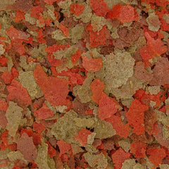 Ocean Nutrition Fish Food - Cichlid Fish Food, High Protein Fish Flakes, Tropical Fish Flakes, Ideal Cichlid Food for Angelfish, Kribensis, Ram Cichlids and More, Made in The USA, 1.2 oz (34 g)