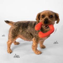 Nylabone C-Shuu Interactive Dog Toy for Small Dogs – Lightweight Squishy Dog Chase Toy for Creative Play & Dog Exercise