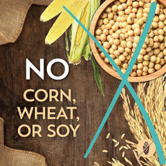 Sensitive Skin & Stomach with Salmon Protein & Ancient Grains Dry Food for Cats & Kittens 10 lb