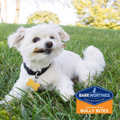 Barkworthies Bully Stick Bites - 10 oz (Pack of 1) - Protein-Rich, All-Natural Rawhide Alternative, Easily Digestible, Promotes Dental Health