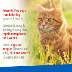 Adams Plus Flea & Tick Spray for Dogs & Cats