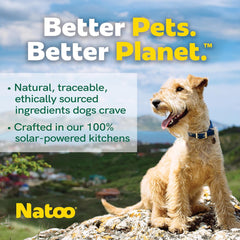 NATOO Dog Food Topper for Picky Eaters & Dog Treat (Salmon with Pumpkin), Dog Toppers for Dry Food, Wet Meal Toppers for Dogs & Puppies, Limited Ingredient Dog Food, (Case of 20) 3 oz Each