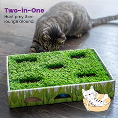 Petstages Catstages Grass Patch Hunting Box Interactive Bat & Swat Game for Indoor Cats, 3 Jingle Balls Included, Green