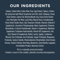 Instinct Raw Boost Puppy, Natural Dry Dog Food with Freeze Dried Pieces, Grain Free Recipe - Real Chicken