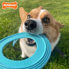 Nylabone Power Play Puppy Super Flyer Gripz Disc for Dogs - Interactive Puppy Enrichment Toys - Puppy Must Haves (1 Count)