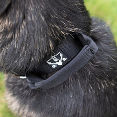 Operation Good Boy Tactical Collar (Black) - Durable & Strong - Includes Quick Release Buckle and Military Grade Handle - Veteran Owned and Operated