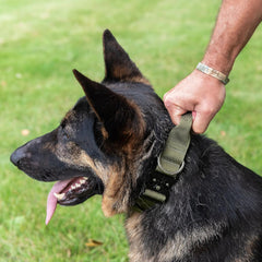 Operation Good Boy Tactical Collar (Green) - Durable & Strong - Includes Quick Release Buckle and Military Grade Handle - Veteran Owned and Operated