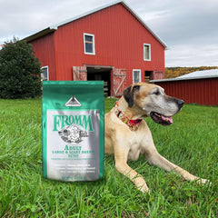 Fromm Classic Adult Large & Giant Breed Dog Food - Premium Dry Dog Food for Large & Giant Breeds - Chicken Recipe