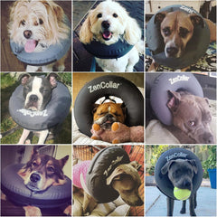 ZenPet Protective Inflatable Recovery Collar for Dogs and Cats - Soft Pet Collar Does Not Block Vision E-Collar - Designed to Prevent Pets from Touching Stitches, Wounds and Rashes