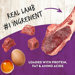 Earthborn Holistic K95 Lamb Recipe Grain-Free Canned Moist Dog Food 12 / 13 oz Can